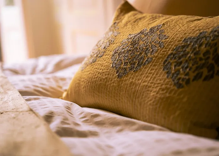 Bed & Breakfast Le D'ouchy Lausanne